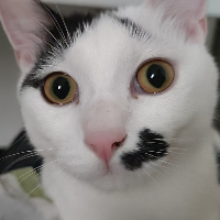 wusiyi's avatar